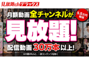 見放題chデラックス